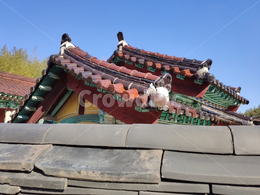 건축물,기와,한옥,한옥건축,한옥집,koreanhouse,기와지붕,roof,지붕