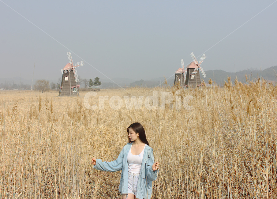 가을,가을여자,공원,여자,분위기,감성,가을,계절,fall,autumn,season,자연,풍경,nature,landscape,사람,인물,인간,human,person,여성,여자,woman,female,lady,plant,식물
