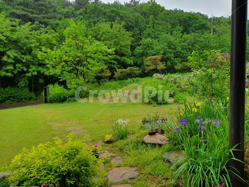 plant,잔디,outdoors,식물,자연,초목,land,grassland,목초지,nature,카페,정원,야외정원