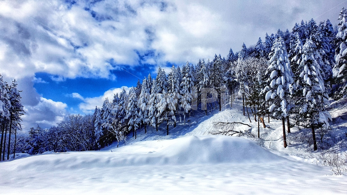 선자령,겨울풍경,만설,겨울산,대관령,겨울눈,겨울,계절,winter,season