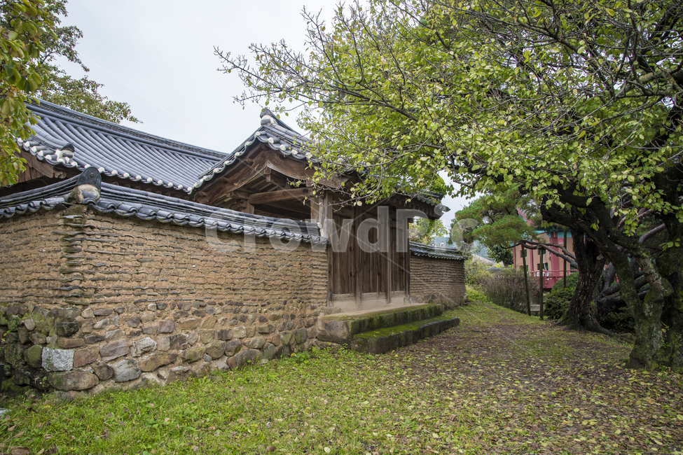 한국건축,대문,기와,담장,나무,한국전통,한국문화,korean traditional,korean culture,건축물,건물외관,exterior,building,structure,architecture,construction