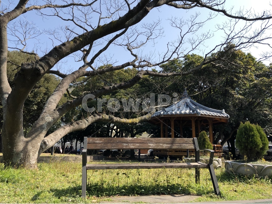 공원,의자,벤치,나무,풍경,자연,풍경,nature,landscape