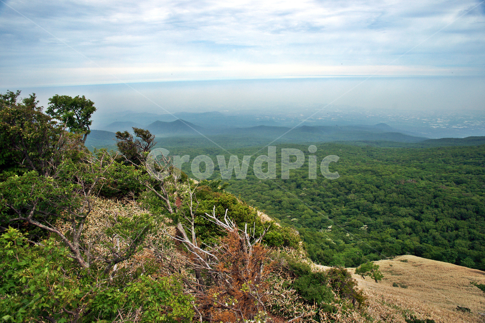 사라오름,사라봉,제주,한라산,숲,성판악,오름,자연,서귀포시,자연,풍경,nature,landscape,한국자연풍경,한국자연경관,korea nature landscape,제주도,jeju,jeju island,outdoors,옥외,hill,언덕