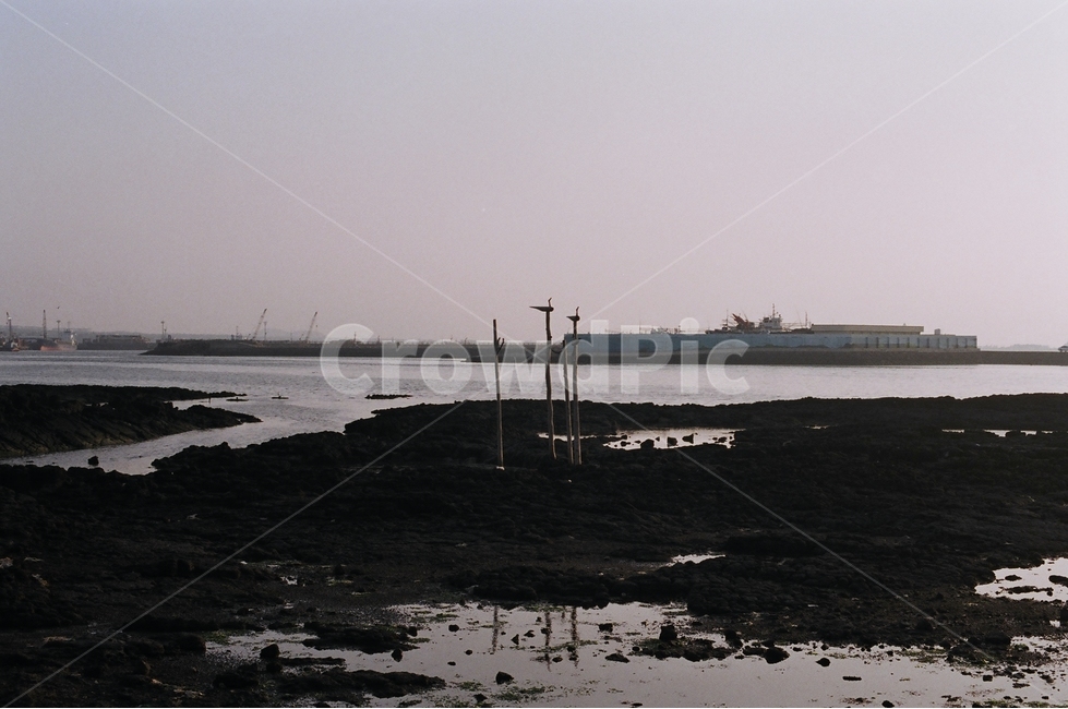 바다,돌,솟대,하늘,해안가,제주도,필름카메라,자연,풍경,nature,landscape,한국자연풍경,한국자연경관,korea nature landscape,제주도,jeju,jeju island,한국전통,한국문화,korean traditional,korean culture,조각상,동상,석상,조형물,statue,bronze statue,stone statue,종교,신앙,religion,belief,faith,outdoors,옥외,land,땅