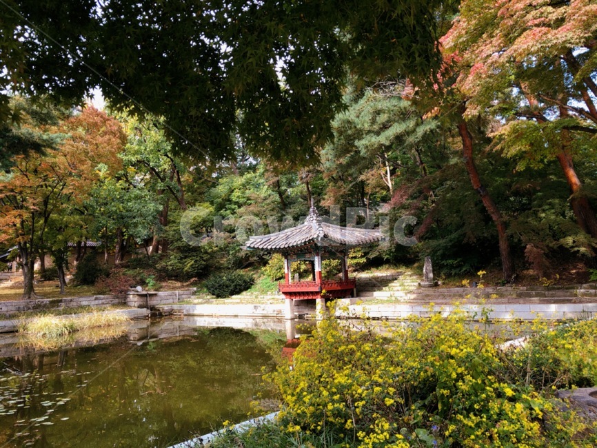 changdeokgungpalace,창덕궁,창덕궁후원,한국관광지,유명관광지,한국궁궐,풍경,경치,낙엽,가을,계절,fall,autumn,season,랜드마크,landmark,tourist attraction,한국랜드마크,한국관광지,한국명소,korea landmark,korea tourist attraction,outdoors,옥외