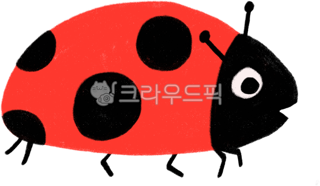 곤충,벌레,곤충캐릭터,귀여운곤충,곤충일러스트,bug,insect,무당벌레,ladybug