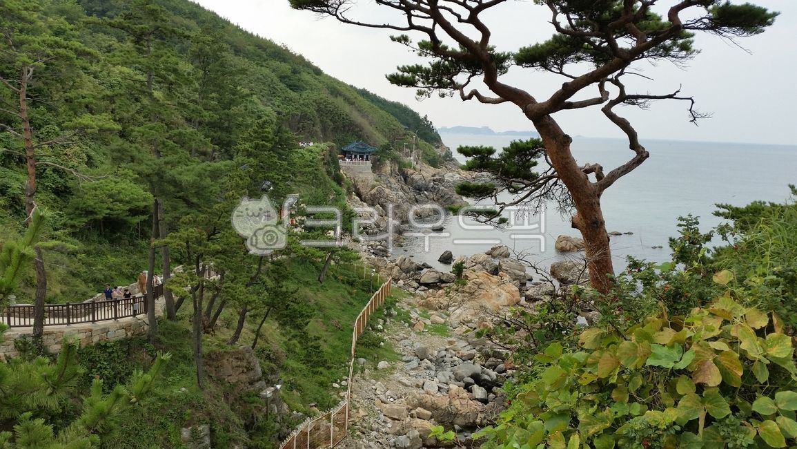 낙산사,홍련암,양양,강원도,낙산사배경,절벽,바위,나무,바다