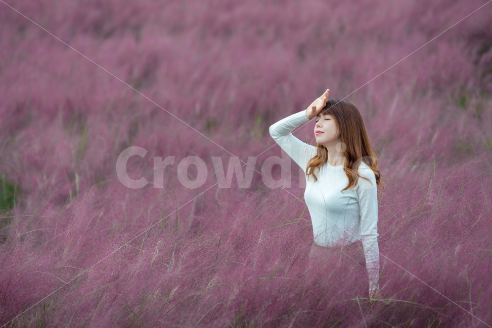 공원,여인,모델,꽃밭,뮬리,핑크뮬리,핑크,분홍색,꽃,식물,갈대,억새,들꽃,야생화,여자,인물,사람,풍경,풍경사진,인물사진,야외,산책,자연,가을꽃,가을,여행,힐링,평화,평온,안정,색감,핑크빛,fall,flower,flowers,nature,계절,autumn,season,plants,인간,human,person,신체,몸,body,감성,감정,sensible,feeling,emotion,얼굴,환상,예술,판타지,아름다움,눈부심,축제,아트,여성,woman,female,lady,사진작가,포토그래퍼,photographer,가을,계절,fall,autumn,season,사람,인물,인간,human,person,얼굴표정,facial expression,face,여성,여자,woman,female,lady,감정표현,기분,feeling,emotion,sleeve,소매,field,들,outdoors,옥외