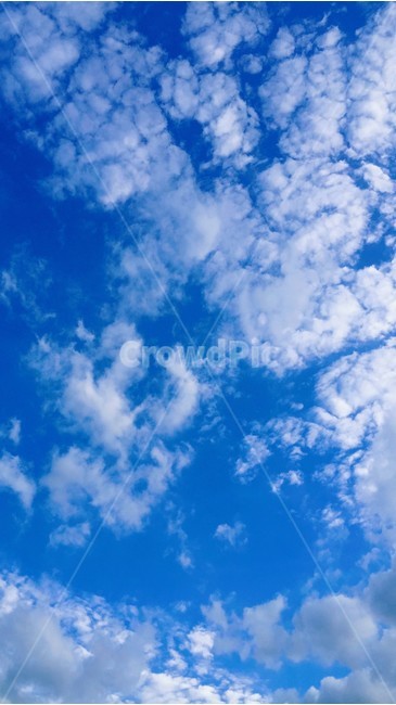 구름,하늘,자연,cloud,sky,파란하늘,bluesky,맑은하늘,구름사진,nature,자연,풍경,nature,landscape,outdoors,옥외,azure sky,푸른 하늘