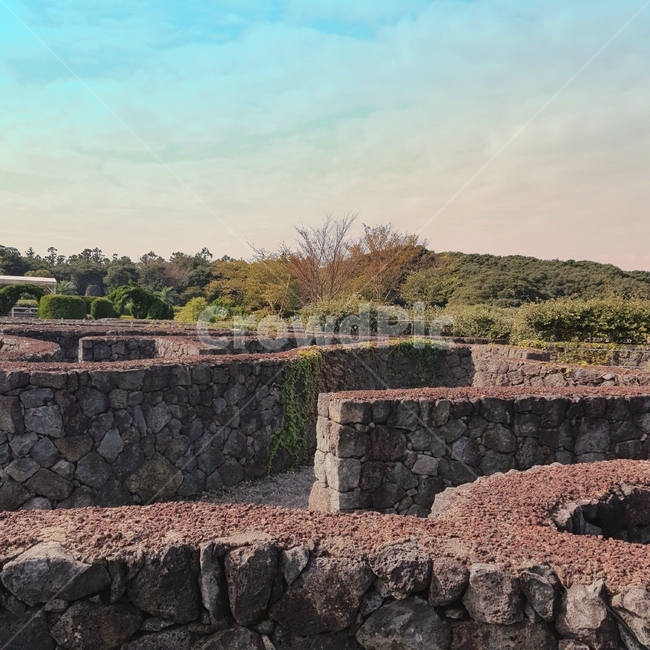 wall,벽,미로,가을,autumn,maze,자연,nature,감성사진,돌,stone