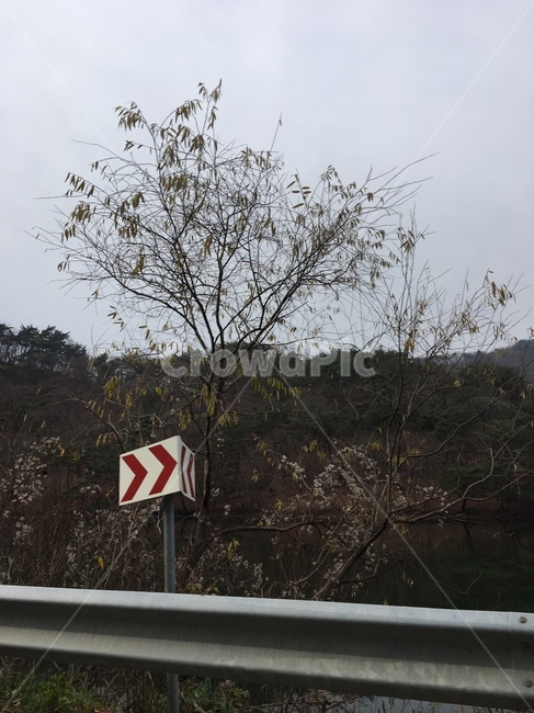 겨울,표지판,마른나무,흐림,구름,도로