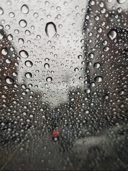 비,날씨,물방울,빗방울,유리,rain,weather,raindrop
