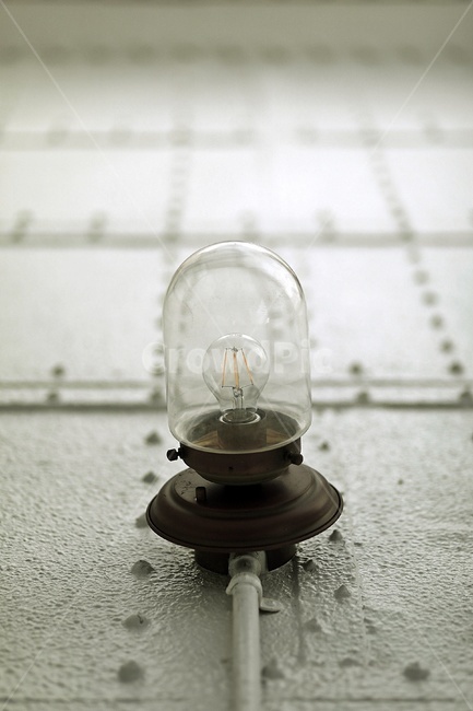 전구,조명,유리전구,천정등,lightbulb,aceilinglight,lamp,사물,물건,오브젝트,thing,object,matter