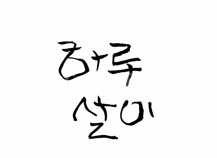 캘리그라피,하루,하루살이,삶,붓글씨,캘리그라피,손글씨,calligraphy