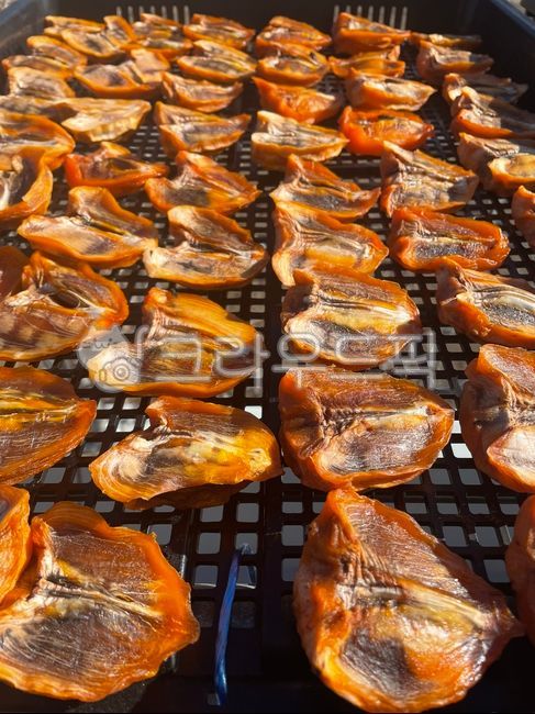 곶감,말린감,감,말린과일,겨울간식,간식,감나무,농촌,시골,겨울