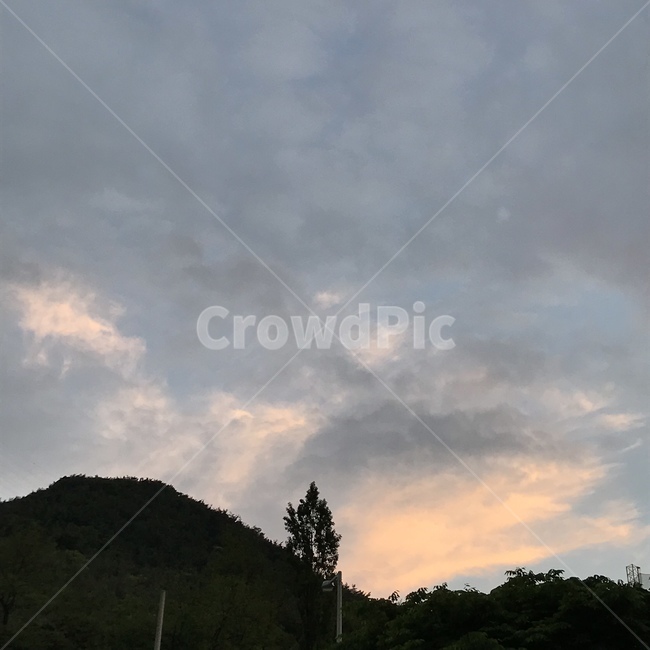 하늘,구름,sky,cloud,outdoors,옥외,nature,자연,field,들,grassland,목초지,나무