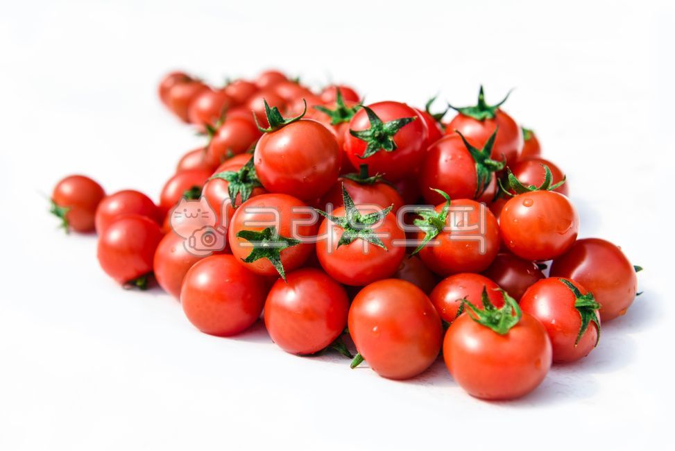 방울토마토,토마토,tomato,plant,식물,빨강,맛있는,야채,채소,과일,여름,건강,열매,fruit,붉은색,food,수확,음식재료,vegetable