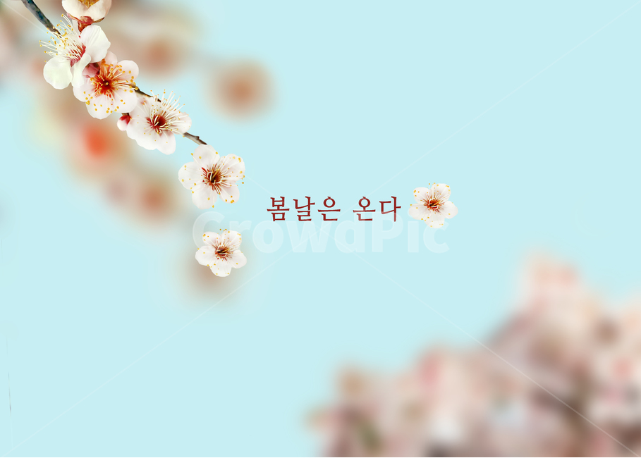 봄,블로섬,분홍,green,여름,들판,sky,뜰,blue,미,계절,신선,나무,beautiful,내추럴,배경,디엠,브로슈어,포스터,표지,디자인,그래픽,바탕,하늘,맑은,풍성한,인기,배너,현수막,달력,책,틀,무늬,봄배경,flower,꽃,blossom,식물,봄,계절,spring,season