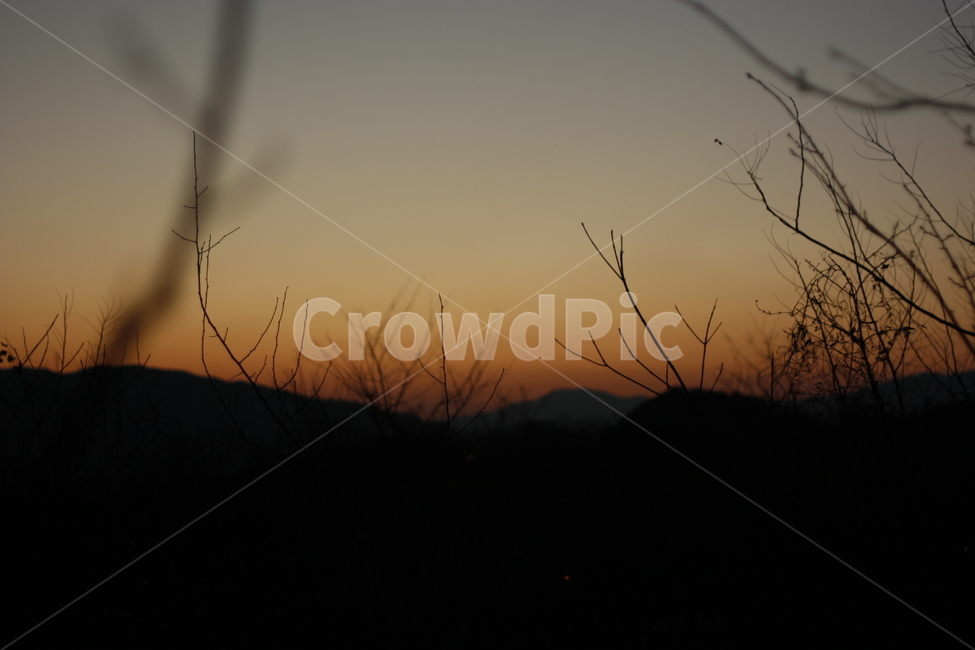 노을,해질녘,어둠,나뭇가지,산봉우리,자연,자연,풍경,nature,landscape,outdoors,옥외