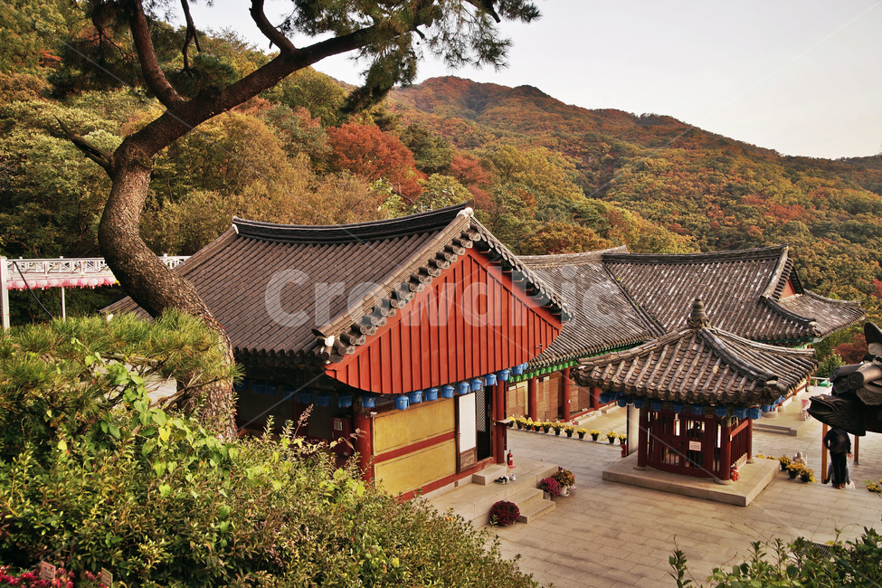 청계사,불교사찰,의왕시,불교,거목,지장전,동종각,한국전통,한국문화,korean traditional,korean culture,건축물,건물외관,exterior,building,structure,architecture,construction
