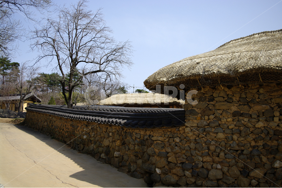 지붕,한국,전통가옥,왕곡마을,시골,마을,흙담,담장,담,초가집,시골,마을,풍경,landscape,country,rural,town,한국전통,한국문화,korean traditional,korean culture,건축물,건물외관,exterior,building,structure,architecture,construction