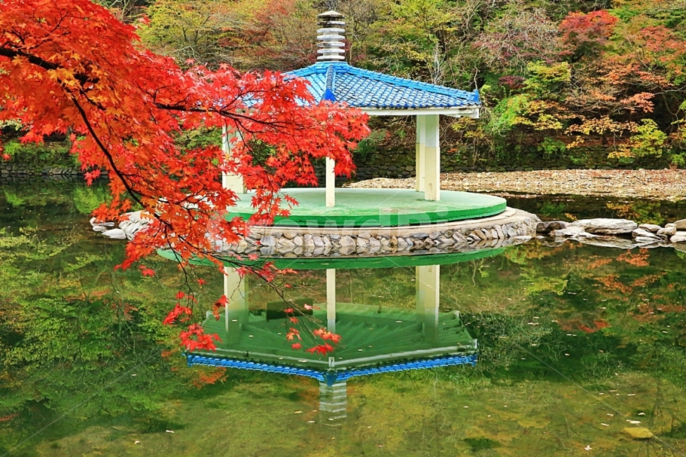 내장산,우화정의가을,국립공원내장산,가을,단풍,내장산여행,가을,계절,fall,autumn,season,자연,풍경,nature,landscape,한국자연풍경,한국자연경관,korea nature landscape