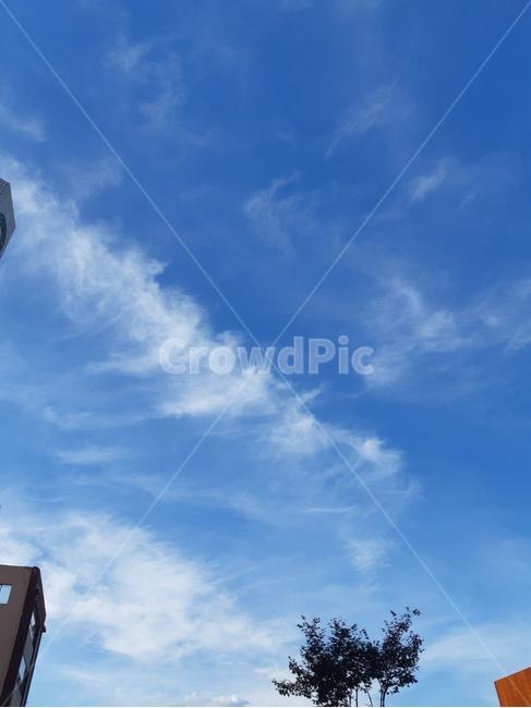 하늘,sky,구름,cloud,nature,자연,outdoors
