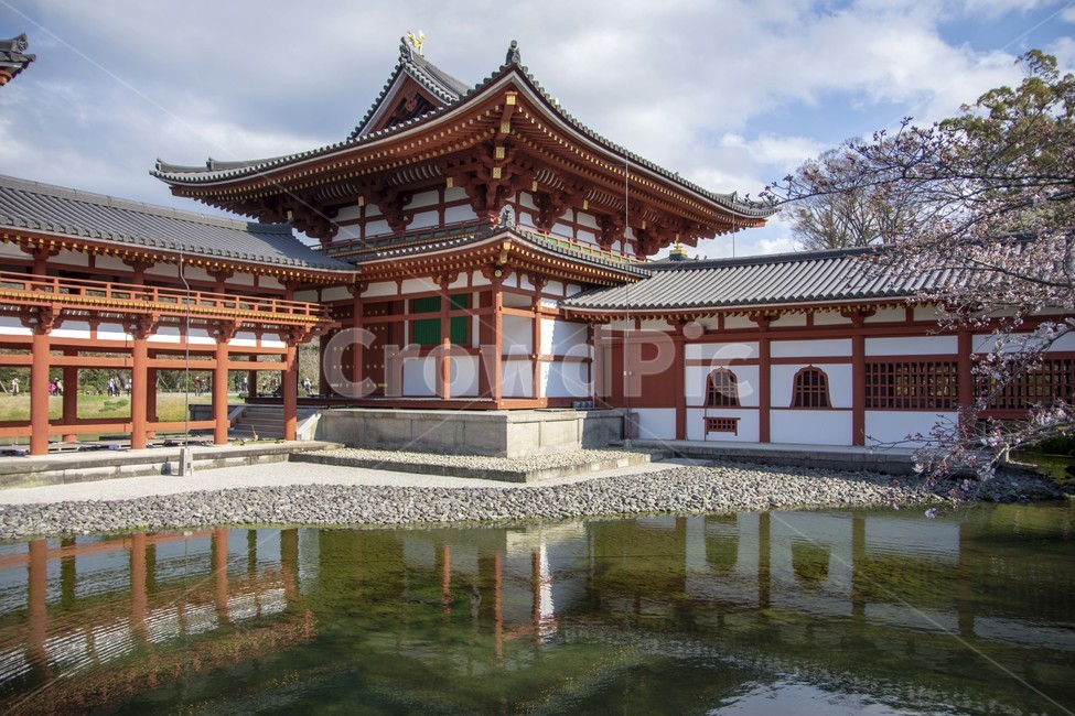 architecture,건축물,building,건물,뵤도인,pond,연못