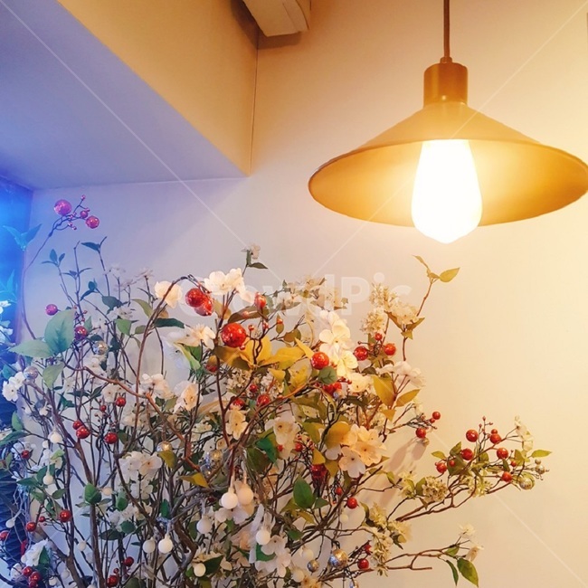 인테리어,조명,편안한,산뜻한,카페조명,카페인테리어,카페,예쁜카페,사물,물건,오브젝트,thing,object,matter