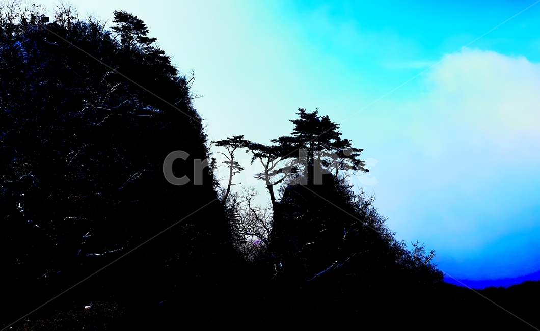 가리산,소나무,하늘,나무,겨울,겨울,계절,winter,season