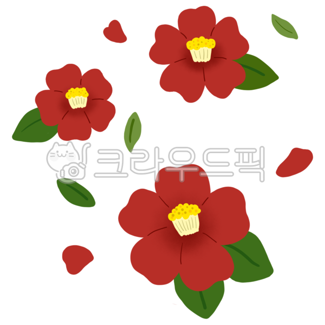 동백꽃,동백,카멜리아,camellia,동백나무,꽃,꽃잎,동백꽃일러스트,동백꽃그림,꽃png