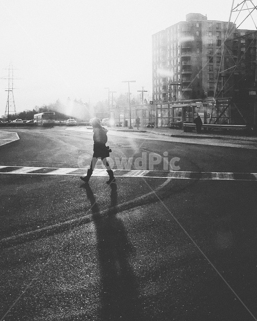 pedestrian,보행자,road,도로,그림자,저녁,퇴근길,하루,겨울,evening,afterwork,postwork,shadow,winter,뒷모습,외로움,loneliness,back,lonely,흑백사진,흑백,blackandwhite,흑백,모노톤,monochrome,black and white