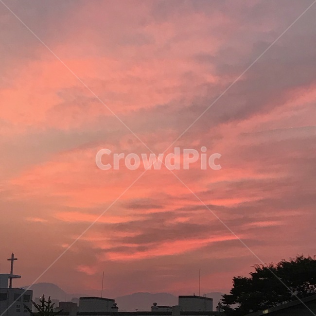 하늘,새벽,감성,구름,자연,sky,nature,outdoors,clouds,pink