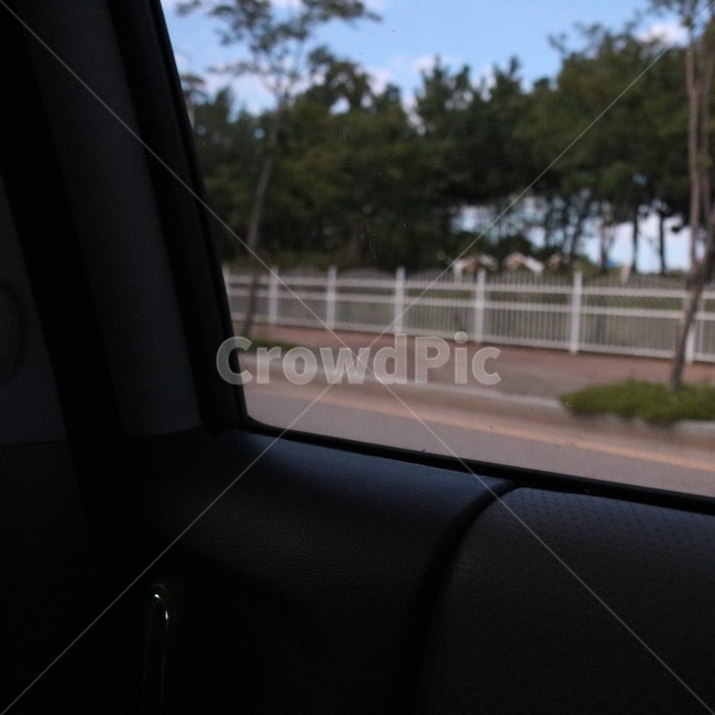 감성,차,풍경,나무,자연,식물,하늘,구름,초록,하늘색,흰색,car,kuruma,tree,ki,nature,plants,shokubutsu,sky,sora,cloud,kumo,green,midori,skyblue,sorairo,white,shiro,교통,교통수단,traffic,transportation
