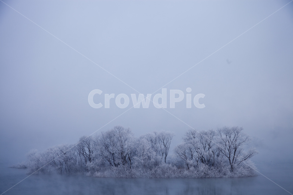 소양강,춘천,상고대,물안개,강안개,서리,겨울,계절,winter,season,자연,풍경,nature,landscape