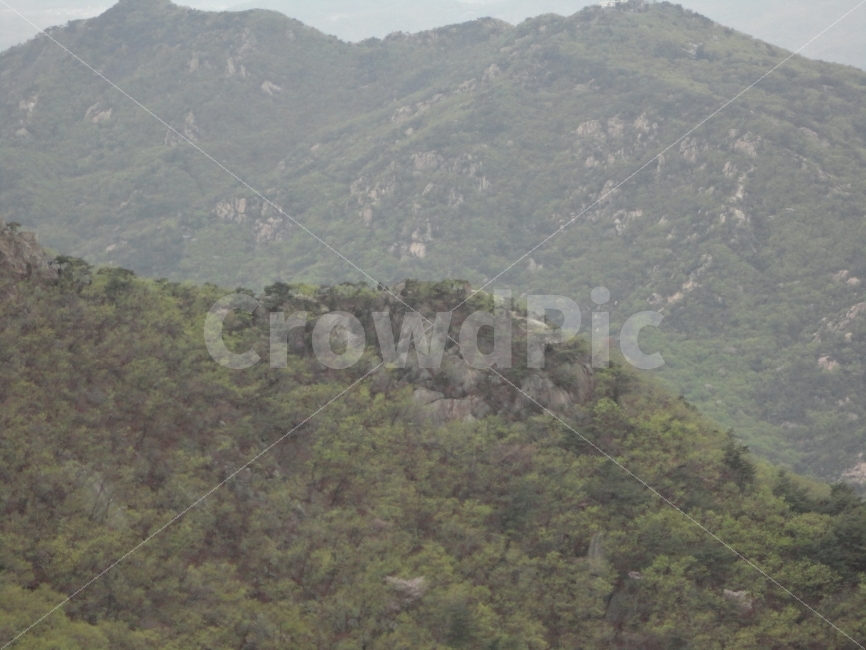 풍경,자연,산,나무,산맥,자연,풍경,nature,landscape,한국자연풍경,한국자연경관,korea nature landscape,slope,경사,outdoors,옥외,hill,언덕