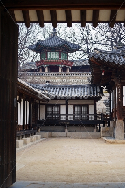 창덕궁,창경궁,겨울궁,스냅,한옥,겨울,계절,winter,season,한국전통,한국문화,korean traditional,korean culture,랜드마크,landmark,tourist attraction,한국랜드마크,한국관광지,한국명소,korea landmark,korea tourist attraction
