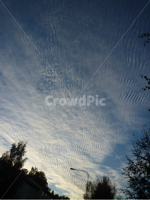 가로등,하늘,구름,나무,sky,clouds,streetlamp,streetlight,tree