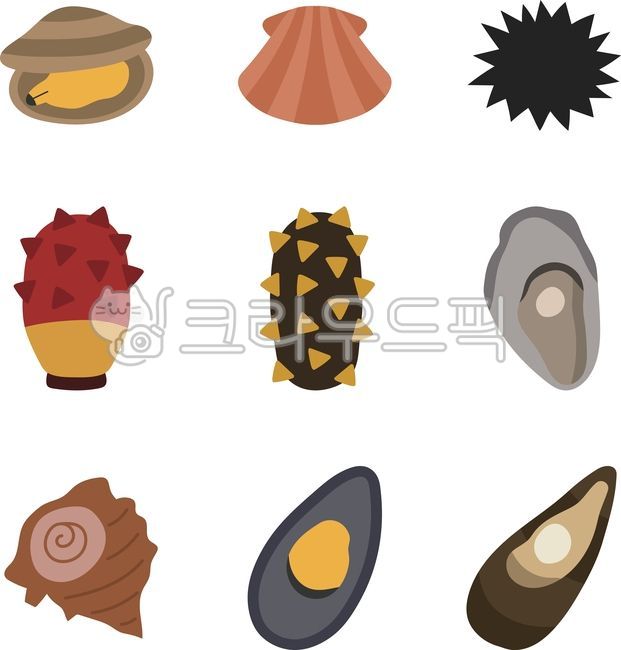Seafood,seafood pictures,fish,fish pictures,fish illustrations,sea,underwater,shellfish,scallops,mussels,clams,sea urchins,sea squirts,sea cucumbers,oysters,conches,shellfish pictures,shellfish illustrations,vector,shellfish