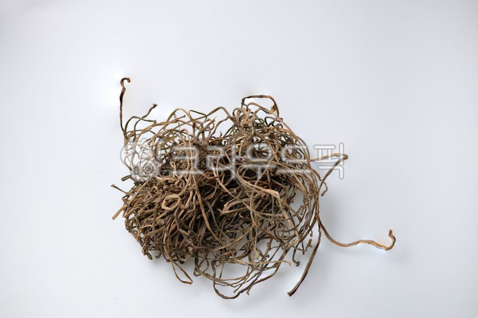 건조된식자재,고구마줄기,음식,무침,명절,겨울