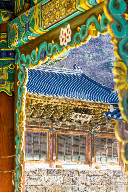 단청,문화유산,문양,사찰,무늬,관광명소,한국전통,한국문화,korean traditional,korean culture,종교,신앙,religion,belief,faith,건축물,건물외관,exterior,building,structure,architecture,construction