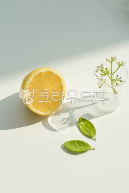lemon,citrus fruits,half,Fruit,shadow,fruit,plant,harp,ingredients
