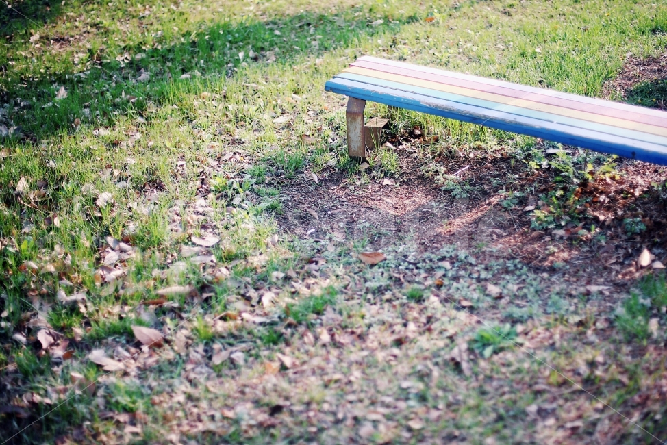 계절,빛,의자,벤치,낙엽,잔디,공원,풀,감성,아침,감성,sensible,feeling,휴식,힐링,rest,relaxation,healing