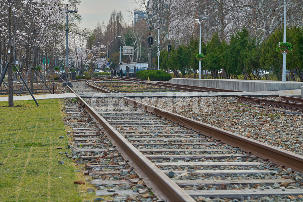 경춘선,철도공원,철도,기찻길,기차,교통,교통수단,traffic,railway,풍경,공원,산책로,봄,spring,blooming,벚꽃