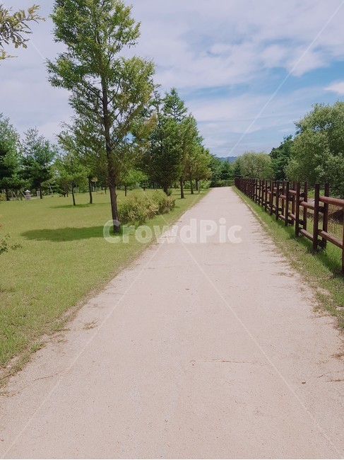 공원,공원길,산책로,맑은날,trail,walk,green,초록,공원풍경,풍경,길,울타리,낮,오전,park,tree,grass