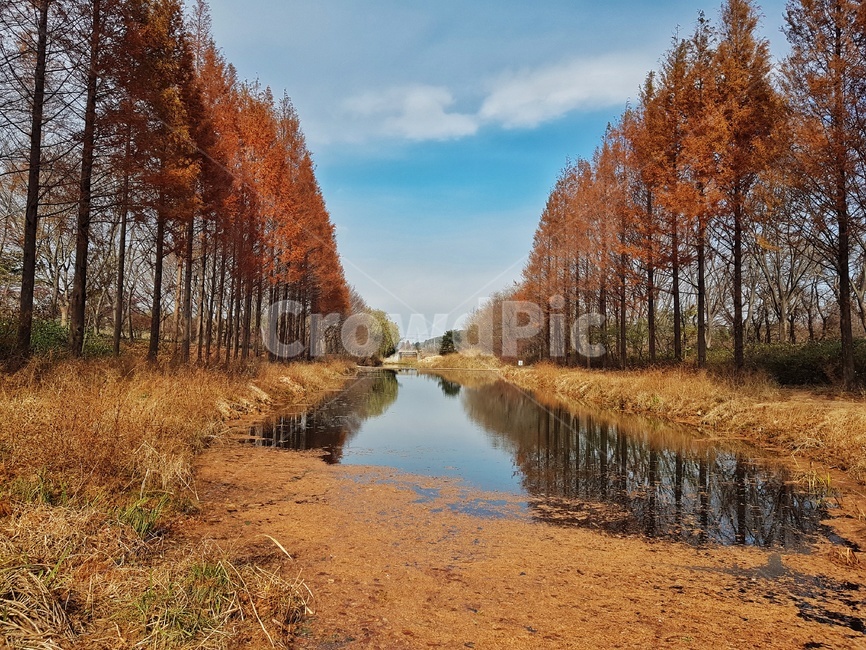 풍경,가을풍경,가을,단풍나무,가로수,가을,계절,fall,autumn,season,자연,풍경,nature,landscape,outdoors,옥외,ditch,도랑