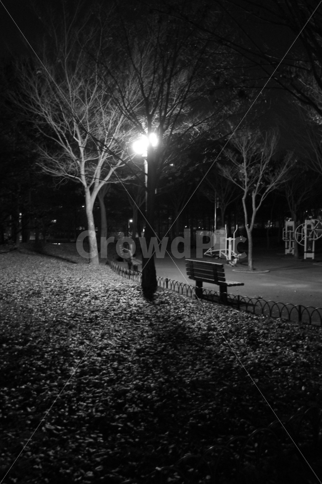 겨울밤,공원,나무,벤치,의자,공원벤치,야경,밤,풍경,nightscape,night,landscape,흑백,모노톤,monochrome,black and white,furniture,가구,bench