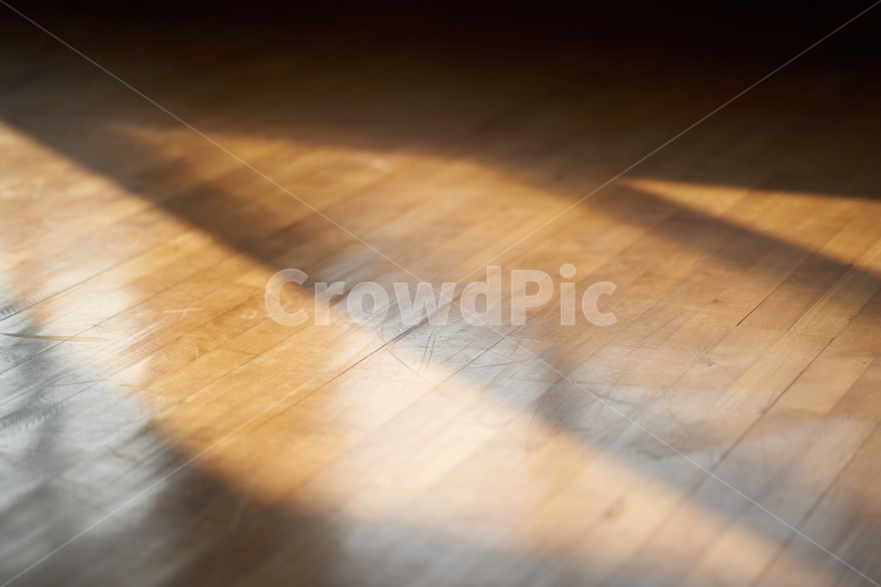 wood,나무,hardwood,견목,floor,바닥
