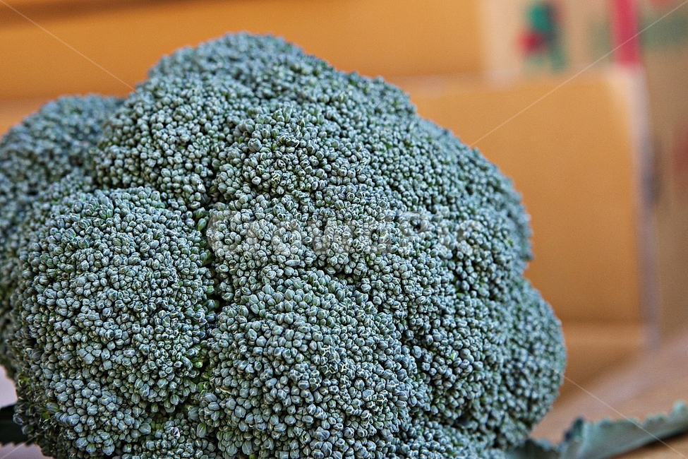 부로콜리,채소,식자재,식물,음식,먹거리,채소,야채,vegetables
