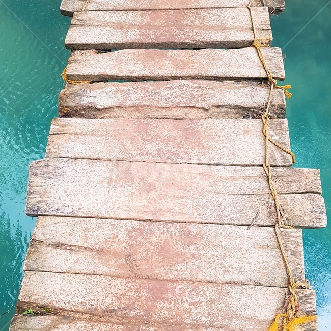 늪,계곡,세부,동남아,다리